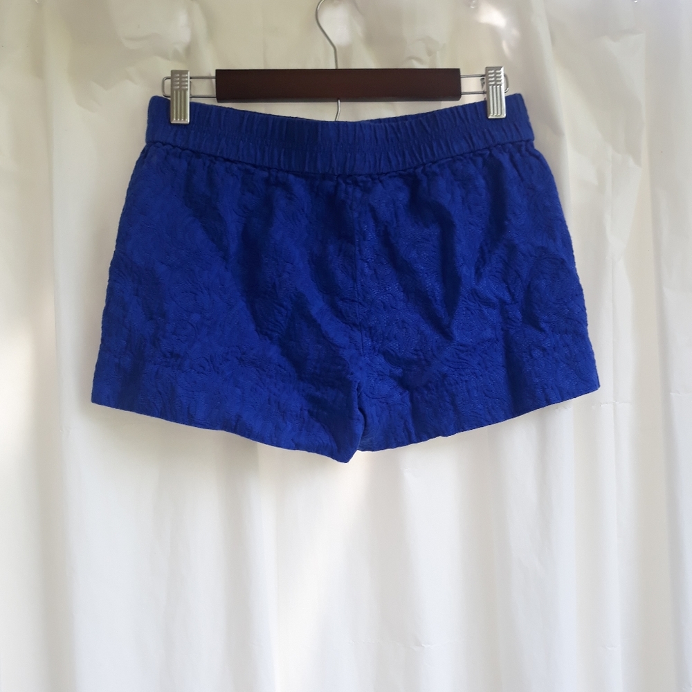 J. Crew Women's shorts. Blue. Size 2.